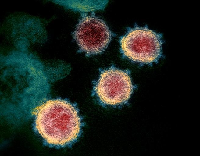 virus coronavirus 2019 ncov chine 6246203